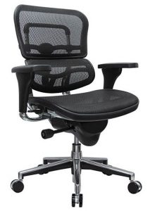 The Eurotech Ergohuman Ergonomic Chair